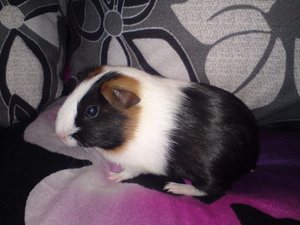 DSC01096 (640x480).jpg