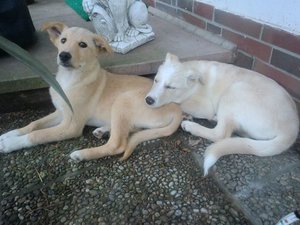 k-CIMG9763.JPG k-CIMG9763.JPG