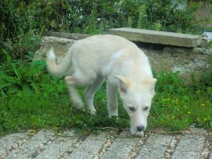 k-CIMG9729.JPG k-CIMG9729.JPG