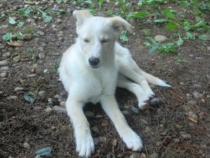 k-CIMG9716.JPG k-CIMG9716.JPG