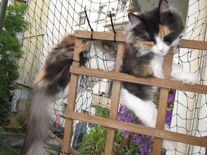 IMG_1810.jpg IMG_1810.jpg