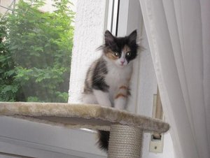 hochzeit Hinna 2011 006.JPG