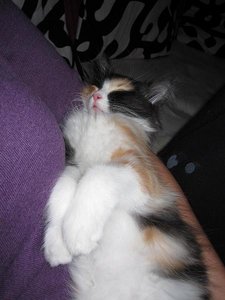 hochzeit Hinna 2011 010.JPG