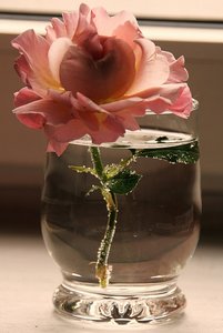 aIMG_0874 - Kopie.JPG