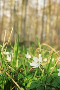 aIMG_2496 - Kopie.jpg