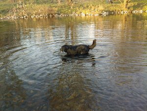 22032011 (1) - Kopie.jpg