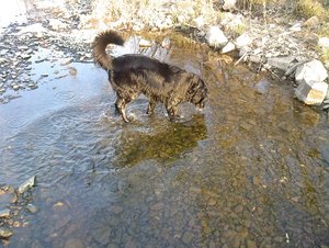 22032011 - Kopie.jpg