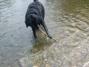 Roxy Sieg (5) - Kopie.jpg