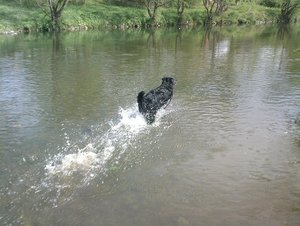 Roxy Sieg (15) - Kopie.jpg