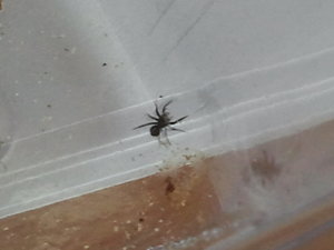 2012-04-29 14.32.33.jpg