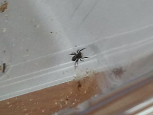 2012-04-29 14.32.37.jpg