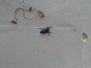 2012-04-29 14.32.58.jpg