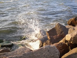 SDC10069 - Kopie.JPG