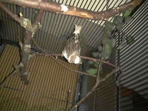 292612_283356435091095_100002502228893_620399_1353751417_n.jpg 292612_283356435091095_100002502228893_620399_1353751417_n.jpg