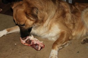 IMG_0698.JPG IMG_0698.JPG