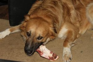 IMG_0714.JPG IMG_0714.JPG