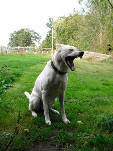 CIMG0217 (Mittel).JPG