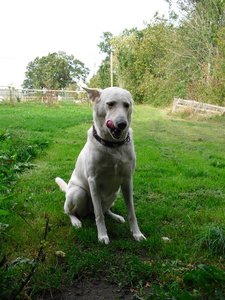 CIMG0218 (Mittel).JPG