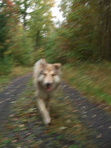 Wo ist die Schärfe.JPG