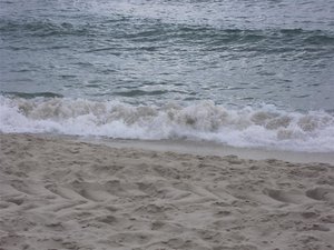 CIMG3732 (Mittel).JPG