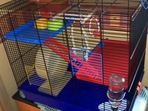 hamsterkäfig 1.jpg
