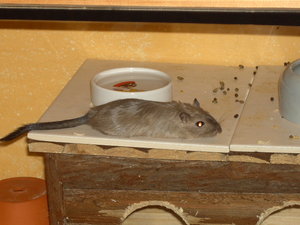 10.07 (8).JPG 10.07 (8).JPG