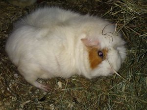 DSC00835 (640x480).jpg