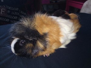 DSC00702 (640x480).jpg