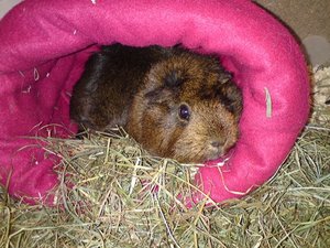 DSC00797 (640x480).jpg