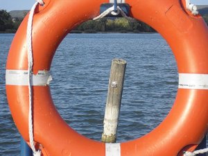 Reitenich und SpaÃŸ! 284.JPG