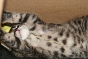 IMG_0080 - Kopie.JPG