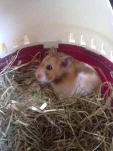 05072011416.jpg 05072011416.jpg