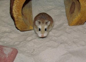 K800_Wettbewerb.JPG K800_Wettbewerb.JPG