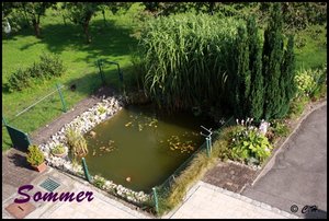 Teich-Sommer.JPG Teich-Sommer.JPG