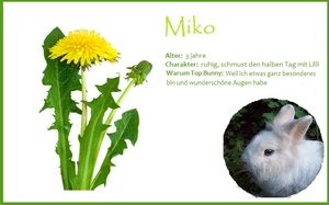 karteikarte für Miko.jpg