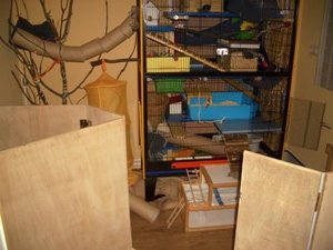 2012 sealife ostern düna ratten 009.JPG