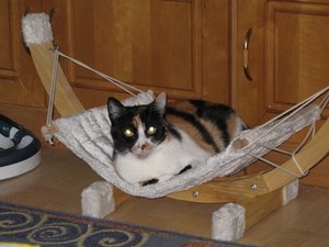 sunny hängematte.JPG sunny hängematte.JPG