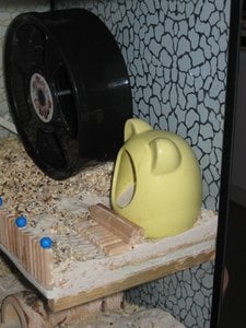 öhrchenbad.JPG öhrchenbad.JPG