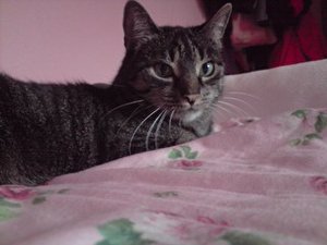 Bilder Handy -0 1.09.11 348.JPG