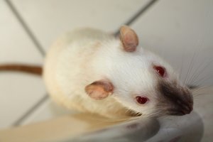 IMG_3982 - Kopie.JPG