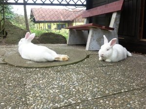 Foto2273.jpg Foto2273.jpg