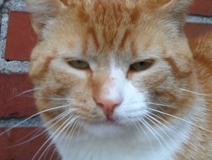 beerdigung 25555.jpg