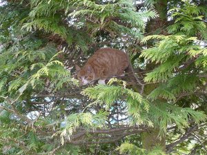 tanti ich und co 166tt.jpg