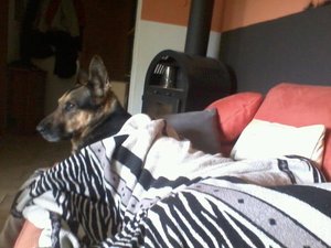 405071_454891817859433_100000158577215_1951303_68040765_n.jpg 405071_454891817859433_100000158577215_1951303_68040765_n.jpg