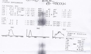 Blutwerte Fridolin.jpg