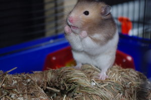 IMGP7952.JPG IMGP7952.JPG