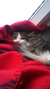 DSC00060.JPG DSC00060.JPG