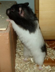 DSC00056.JPG DSC00056.JPG