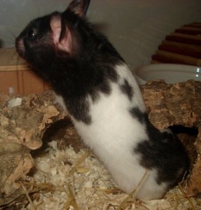 Emily35.JPG Emily35.JPG