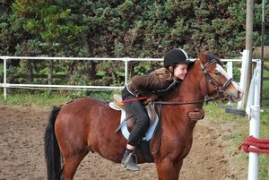 Ringreit tunier 076.JPG